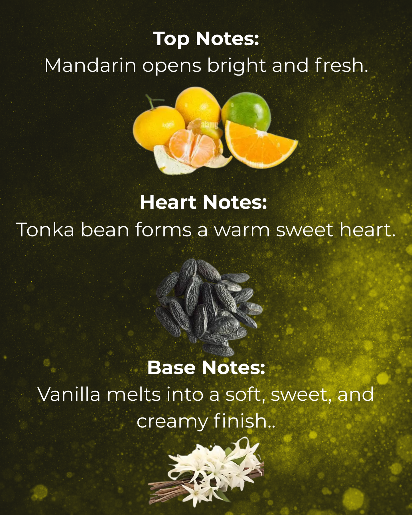 Sunnah Goods Impression of GA - Armani Code Absolu