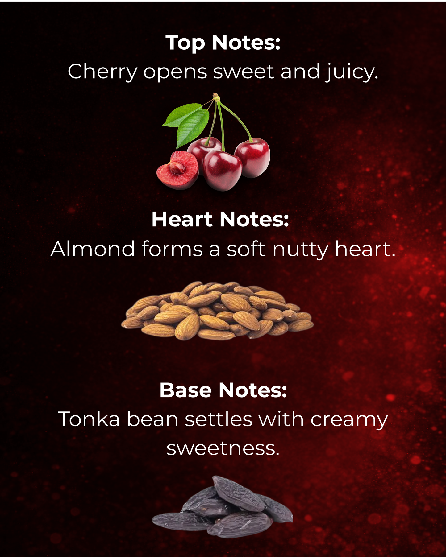 Sunnah Goods Impression of Tom Ford - Lost Cherry