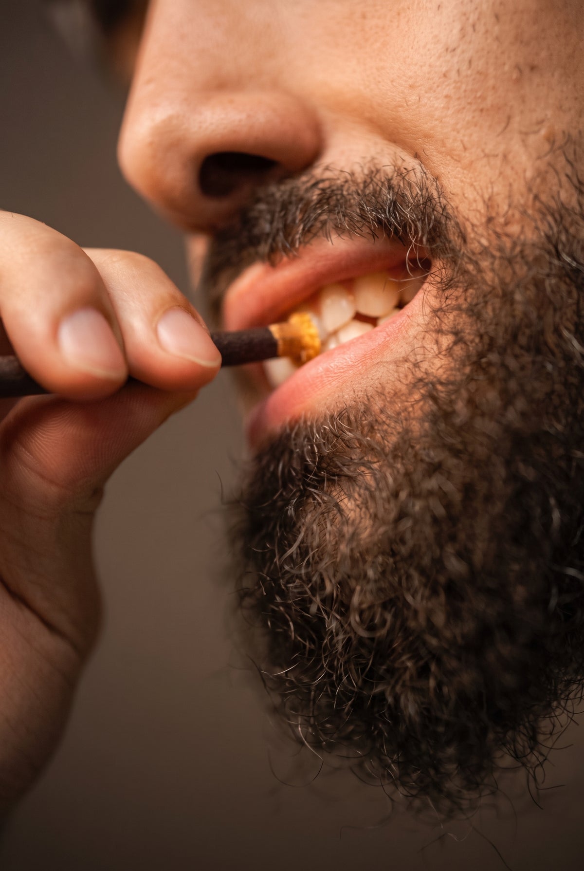 Close-up of a man using a Zaitoon olive tree miswak on his teeth