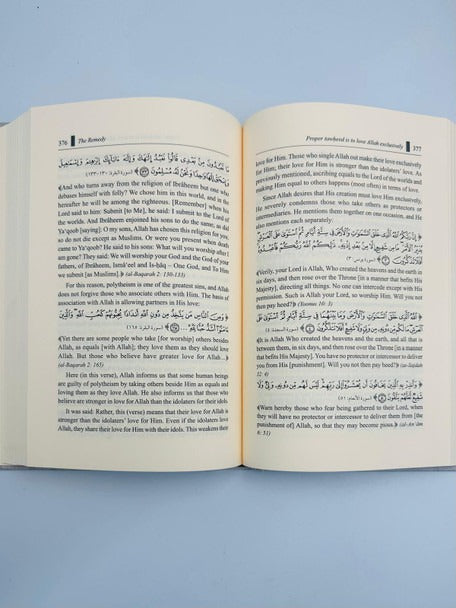 The Remedy for Those Victimized by Sins – open book showing sample pages